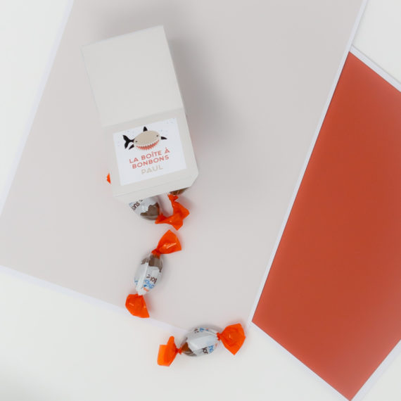 Kit Boite à grand frère Requin - Boite à grande soeur Requin