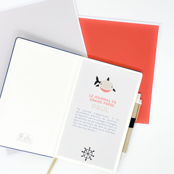 Kit Boite à grand frère Requin - Boite à grande soeur Requin