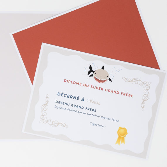 Kit Boite à grand frère Requin - Boite à grande soeur Requin