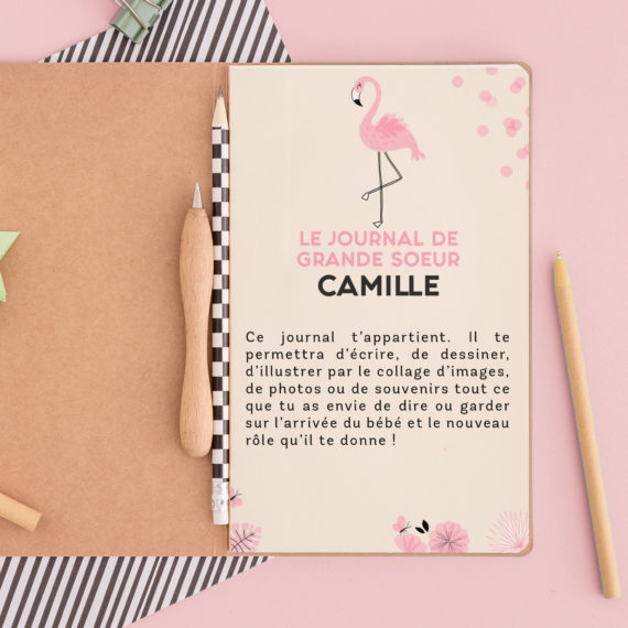 Kit Boite à grande soeur Flamingo / Boite à grand frère Flamingo