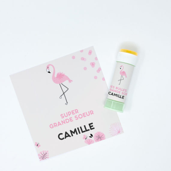 Kit Boite à grande soeur Flamingo / Boite à grand frère Flamingo