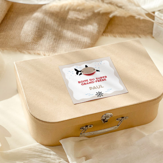 Kit Boite à grand frère Requin - Boite à grande soeur Requin