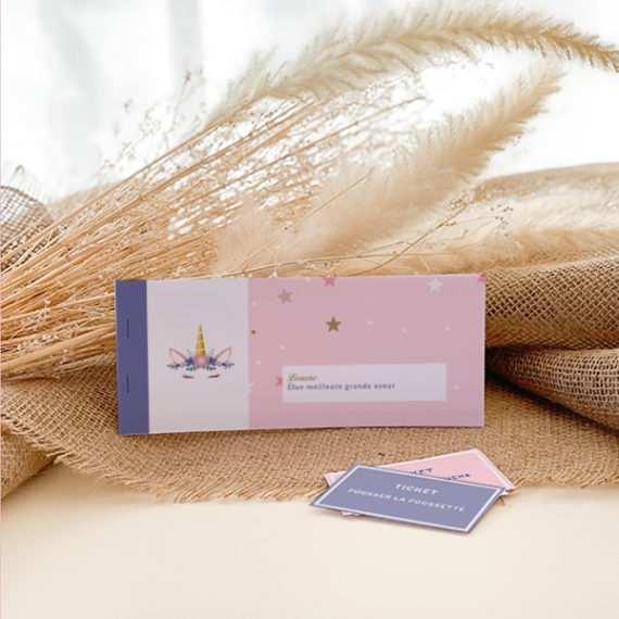 Chéquier grande soeur Licorne