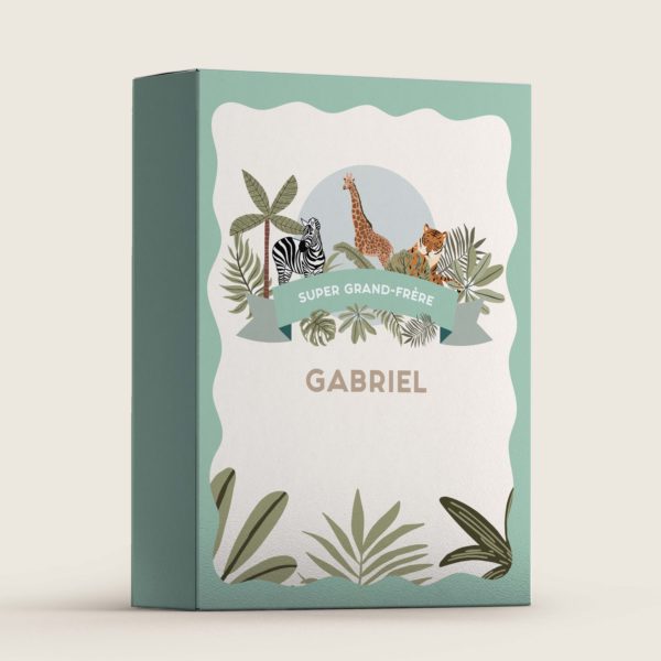 Porridge, cereals or washing powder box mock up. 3D illustration
