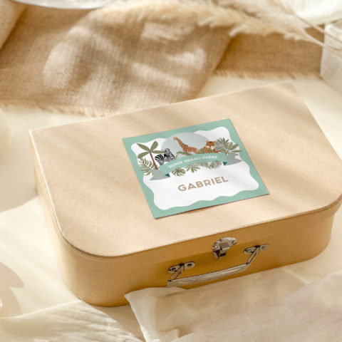 Kit Boîte à grand frère Savane / Boîte à grande soeur Savane