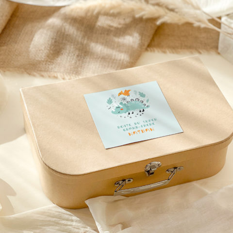 Kit Boite à grande soeur Petit Dino / Boite à grand frère Dino