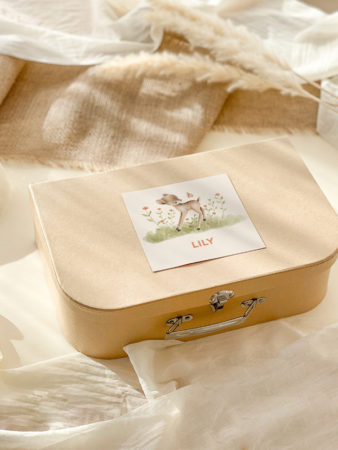 boite-grande-soeur-grand-frere-faon