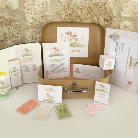 boite-grande-soeur-faon-ensemble