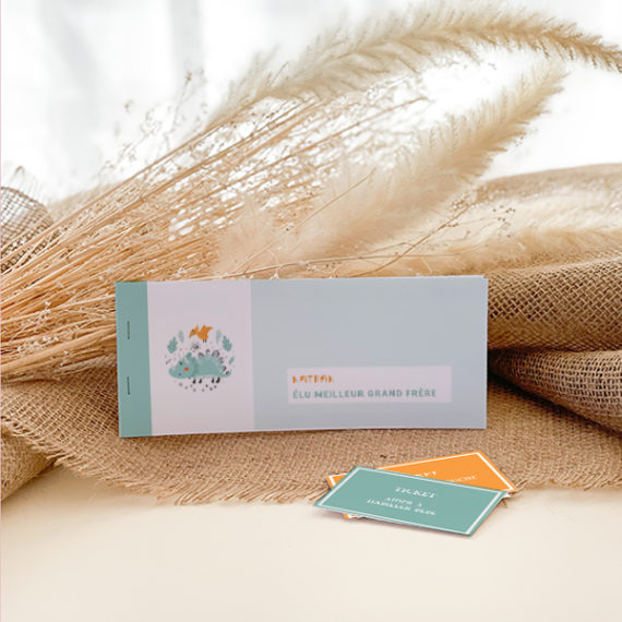 Kit Boite à grande soeur Petit Dino / Boite à grand frère Dino