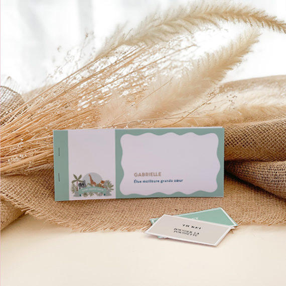 Kit Boîte à grand frère Savane / Boîte à grande soeur Savane