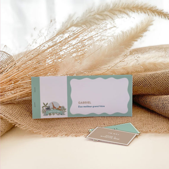 Kit Boîte à grand frère Savane / Boîte à grande soeur Savane