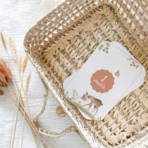 Cartes étapes bébé Woodland - Faon
