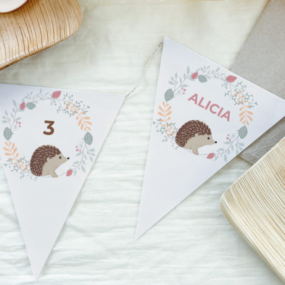 Décoration anniversaire Hérisson