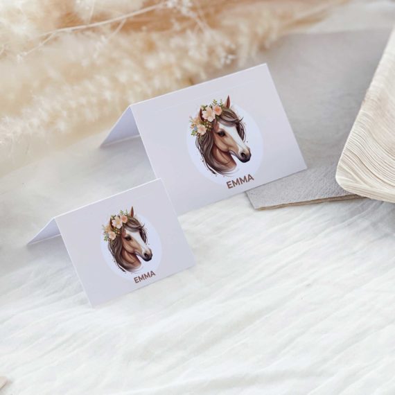 Décoration anniversaire Cheval