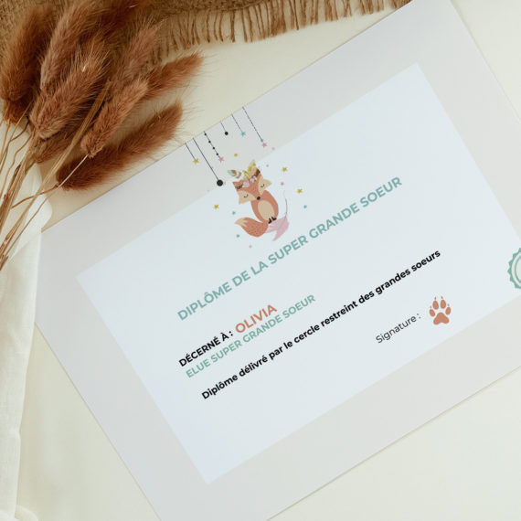 Boite à grande soeur Fox - Boîte à Grand frère Fox (Renard)