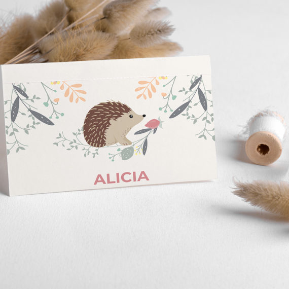 Décoration anniversaire Hérisson