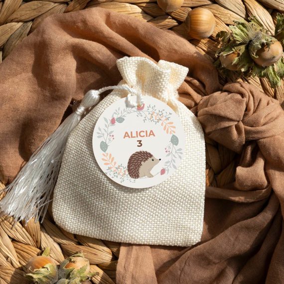 Décoration anniversaire Hérisson