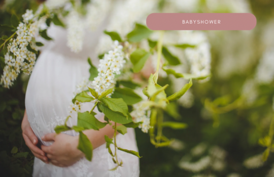 A66FACA1-42E4-4D39-9B03-0F486D986942