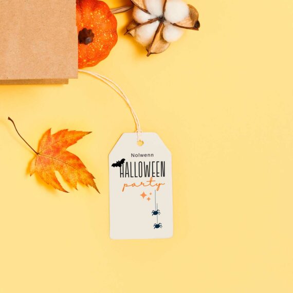 Mini Kit Halloween (offert)